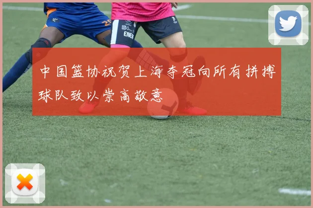 中国篮协祝贺上海夺冠向所有拼搏球队致以崇高敬意